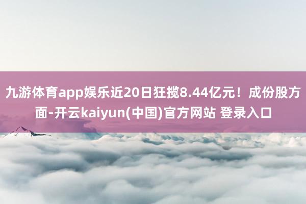 九游体育app娱乐近20日狂揽8.44亿元!成份股方面-开云kaiyun(中国)官方网站 登录入口