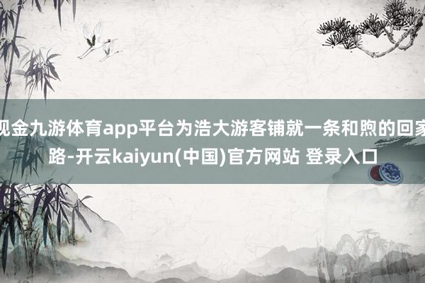 现金九游体育app平台为浩大游客铺就一条和煦的回家路-开云kaiyun(中国)官方网站 登录入口