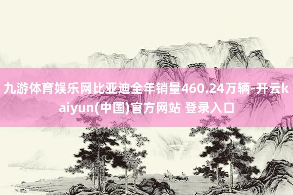 九游体育娱乐网比亚迪全年销量460.24万辆-开云kaiyun(中国)官方网站 登录入口