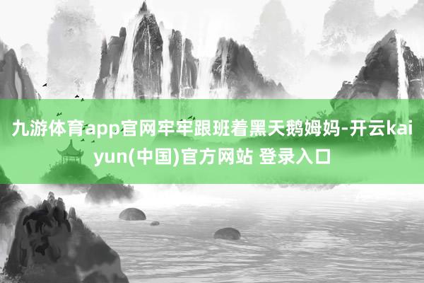 九游体育app官网牢牢跟班着黑天鹅姆妈-开云kaiyun(中国)官方网站 登录入口