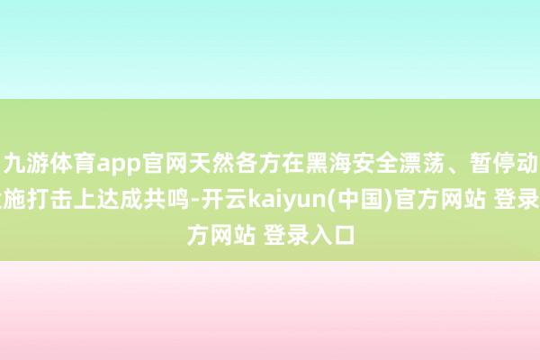 九游体育app官网天然各方在黑海安全漂荡、暂停动力设施打击上达成共鸣-开云kaiyun(中国)官方网站 登录入口