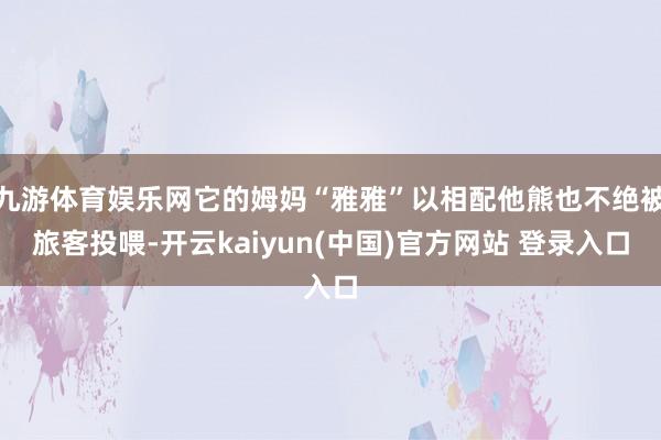 九游体育娱乐网它的姆妈“雅雅”以相配他熊也不绝被旅客投喂-开云kaiyun(中国)官方网站 登录入口