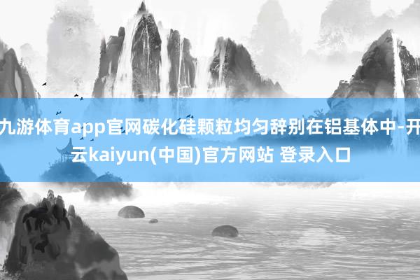 九游体育app官网碳化硅颗粒均匀辞别在铝基体中-开云kaiyun(中国)官方网站 登录入口