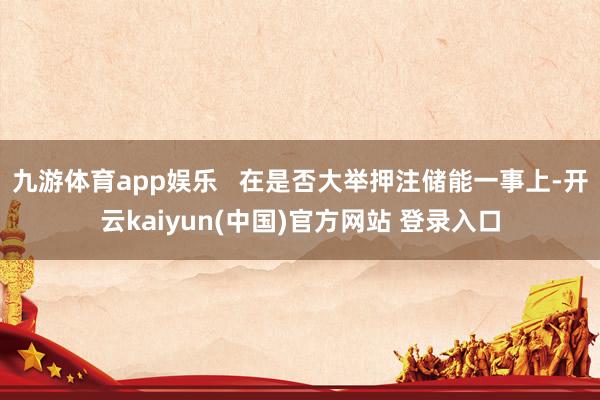 九游体育app娱乐   在是否大举押注储能一事上-开云kaiyun(中国)官方网站 登录入口